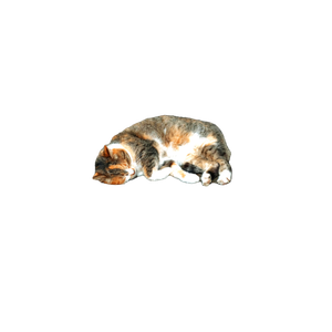 A Calico Cat Peacefully Sleeps On A Wooden Picnic Table Outdoors. 14598 - Cat PNG image with transparent background